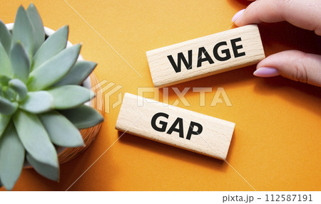 Wage Gap symbol. Concept words Wage Gap on wooden blocks. Businessman hand. Beautiful orange background with succulent plant. Business and Wage Gap concept. Copy space. 112587191