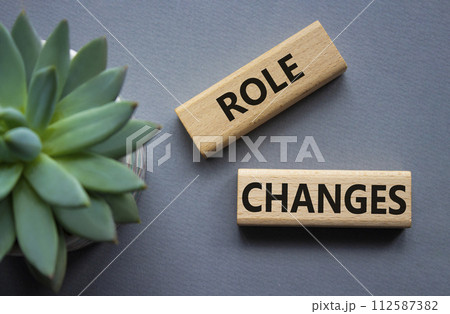 Role changes symbol. Concept words Role changes on wooden blocks. Beautiful grey background with succulent plant. Business and Role changes concept. Copy space. Role changes symbol. Concept words Role changes on wooden blocks. Beautiful grey background with succulent plant. Business and Role changes concept. Copy space. 112587382