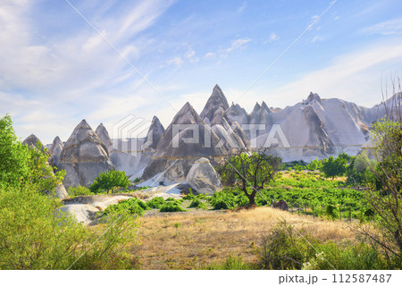 Fairy rocks in Cappadocia Fairy rocks in Cappadocia 112587487