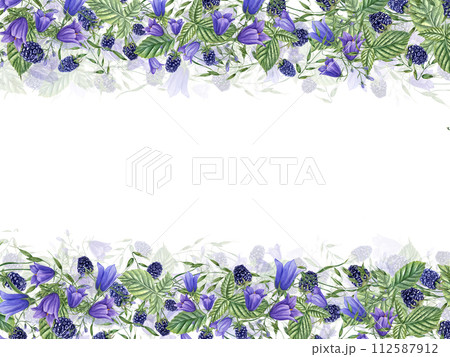 Wild berries and meadow plants. Blackberries and Bell Flowers. Horizontal frame with Berries, campanula, spikelet. Dewberry, bramble. Watercolor illustration isolated on white. Copy space for text Wild berries and meadow plants. Blackberries and Bell Flowers. Horizontal frame with Berries, campanula, spikelet. Dewberry, bramble. Watercolor illustration isolated on white. Copy space for text 112587912