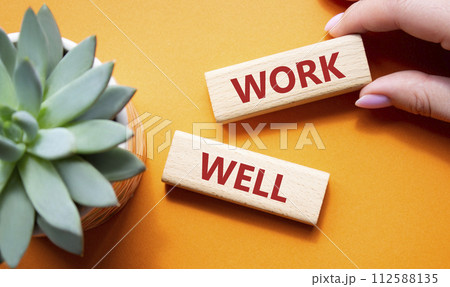 Work Well symbol. Concept word Work Well on wooden blocks. Businessman hand. Beautiful orange background with succulent plant. Business and Work Well concept. Copy space 112588135