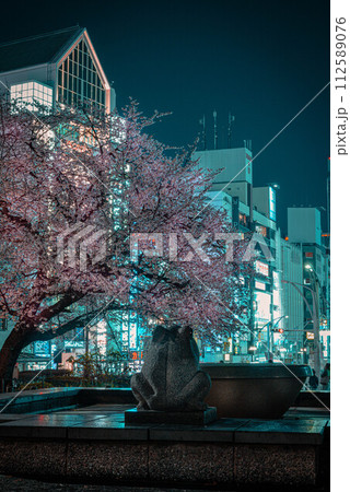 上野大寒桜 112589076