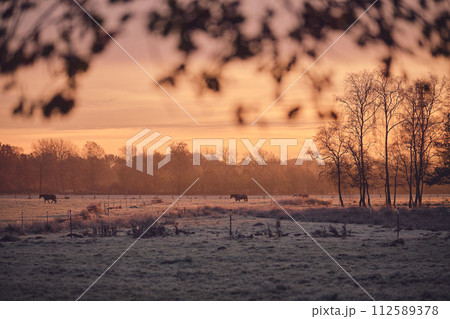 Cold Morning countryside winter in Germany 112589378