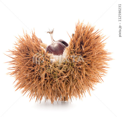 Chestnuts with shell Chestnuts with shell 112590231