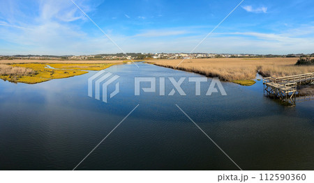 Landscape with reeds in Esmoriz Landscape with reeds in Esmoriz 112590360