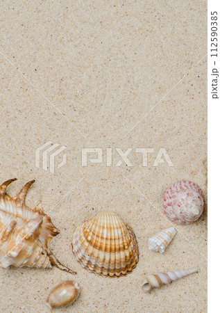 Conchs and shells 112590385