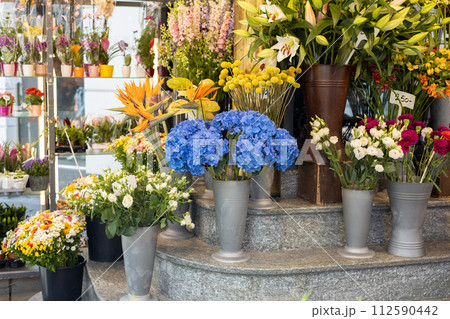 Beautiful colorful flowers in flower shop. Various flowers in the street market Beautiful colorful flowers in flower shop. Various flowers in the street market 112590442