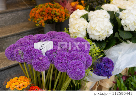 Beautiful colorful flowers Allium Giganteum in flower shop. Various flowers in the street market. Giant Onion Beautiful colorful flowers Allium Giganteum in flower shop. Various flowers in the street market. Giant Onion 112590443