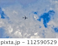 空　青空　大空　飛行機 112590529