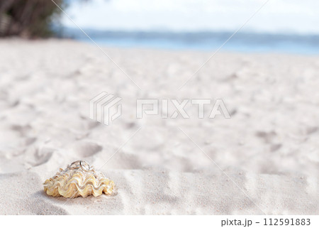 Romantic tropical scene on beach. Closeup 112591883