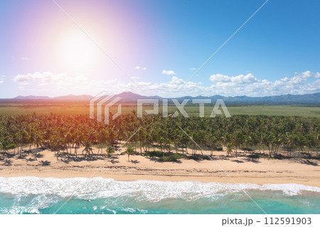 Wild tropical beach with palm trees and turquoise caribbean sea. Beautiful beachfront. Aerial view Wild tropical beach with palm trees and turquoise caribbean sea. Beautiful beachfront. Aerial view 112591903