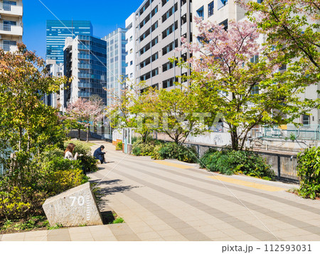 東京 再開発整備された渋谷川周辺 東京 再開発整備された渋谷川周辺 112593031