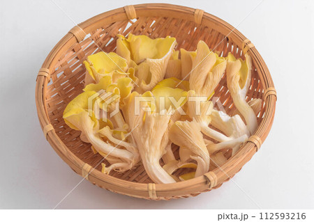 たもぎ茸 112593216