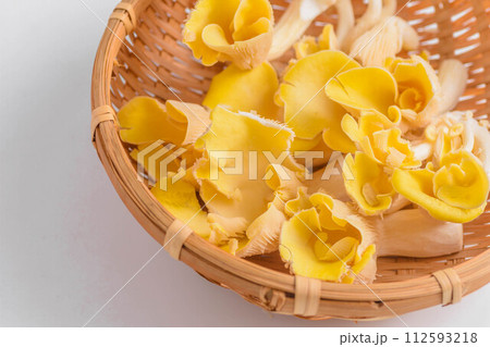 たもぎ茸 112593218