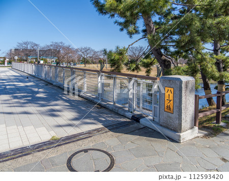 綾瀬川にかかる人道橋【ハープ橋】(埼玉県草加市) 綾瀬川にかかる人道橋【ハープ橋】(埼玉県草加市) 112593420