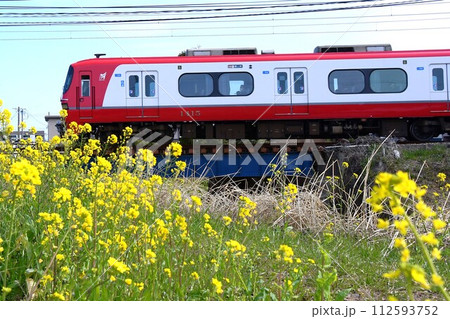 名鉄電車と菜の花 112593752