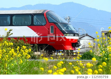 名鉄電車と菜の花 名鉄電車と菜の花 112593759