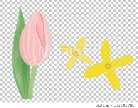 spring flowers 112593780