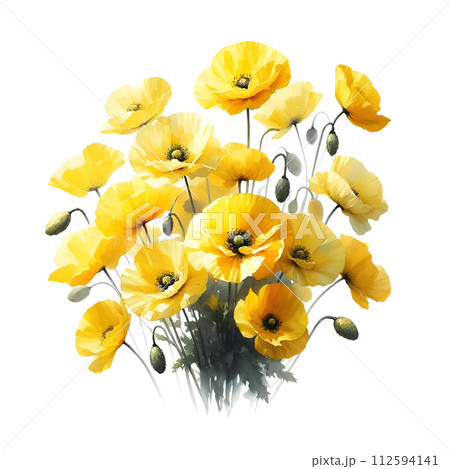 Yellow poppy 112594141