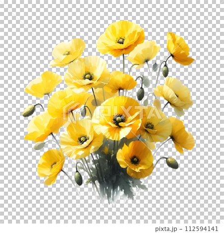 Yellow poppy 112594141