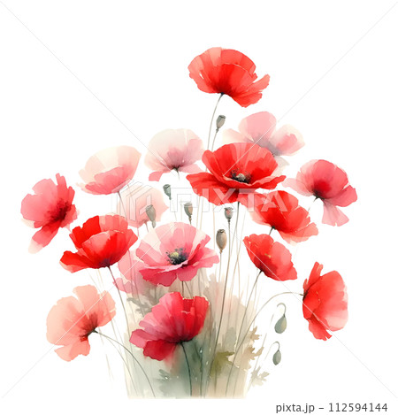Red poppy 112594144