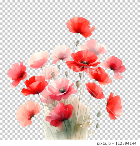 Red poppy 112594144