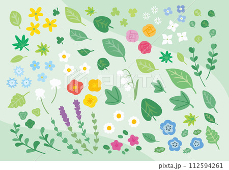 春から初夏の花と葉のイラストセット 112594261