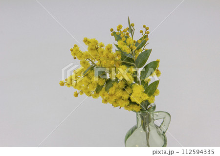 春の香りミモザの花 春の香りミモザの花 112594335