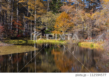 秋の長野　紅葉見頃の戸隠　みどりが池 112594577