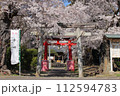 桜に彩られた神社の鳥居 112594783