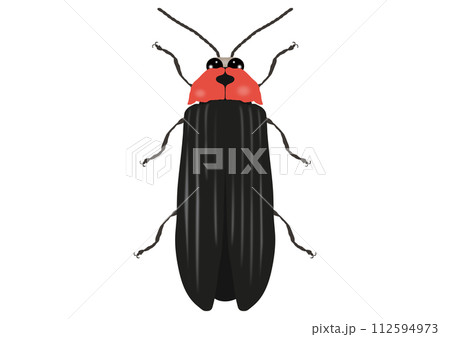 「ゲンジボタル」 112594973