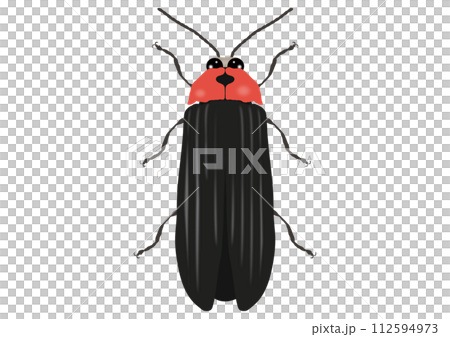 「ゲンジボタル」 112594973