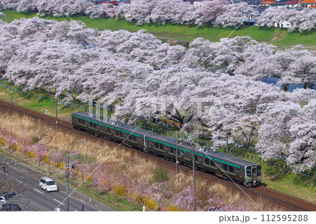 白石川堤一目千本桜を行く東北本線E721系(仙台地区) 白石川堤一目千本桜を行く東北本線E721系(仙台地区) 112595288