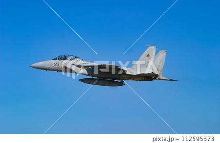 飛行する航空自衛隊戦闘機 F-15DJ 112595373