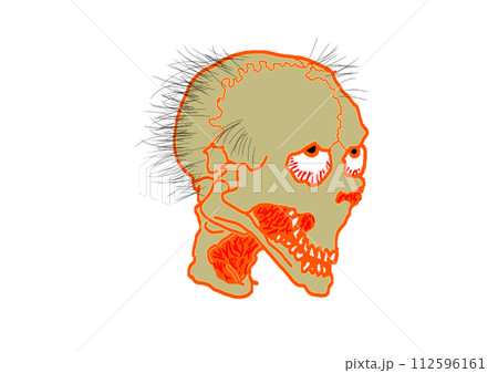 毛の生えたドクロ、頭部 112596161