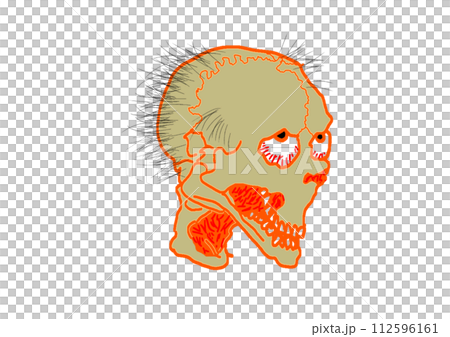 毛の生えたドクロ、頭部 112596161