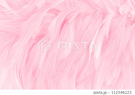 Beautiful soft pink bird feathers pattern texture background. 112596223