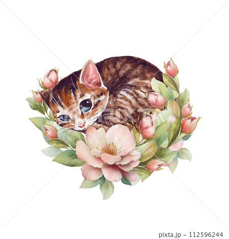 Sleepy cat. Cute floral illustration with watercolor kitten 112596244