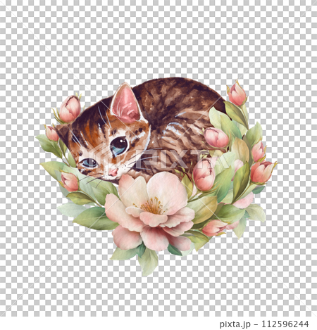 Sleepy cat. Cute floral illustration with watercolor kitten 112596244