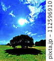青空と芝生 112596910