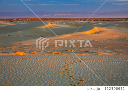 サハラ砂漠 112596952