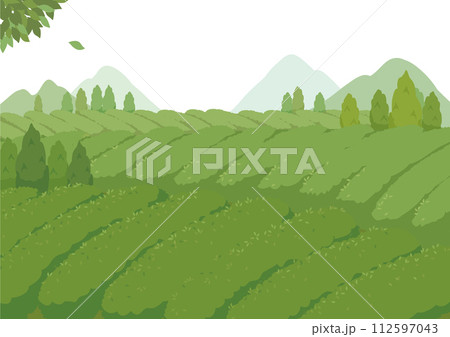 茶畑　風景イラスト　茶園 112597043
