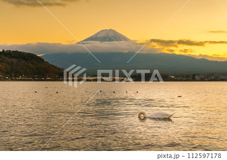 Mount Fuji with Swan and duck at Lake Kawaguchi in the evening sunset. Mt Fujisan in Yamanashi, Japan. Landmark for tourists attraction. Japan Travel, Destination, Vacation and Mount Fuji Day concept Mount Fuji with Swan and duck at Lake Kawaguchi in the evening sunset. Mt Fujisan in Yamanashi, Japan. Landmark for tourists attraction. Japan Travel, Destination, Vacation and Mount Fuji Day concept 112597178
