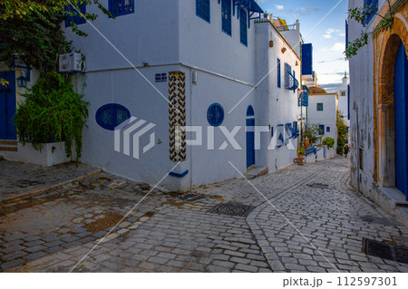 シディ・ブ・サイド 112597301