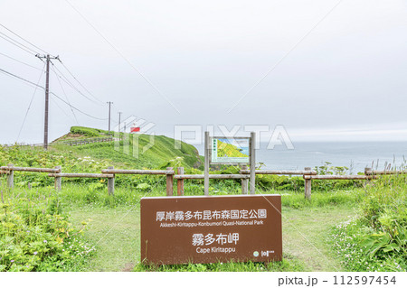 北海道厚岸郡　霧で有名な夏の霧多布岬と湯沸岬灯台 112597454
