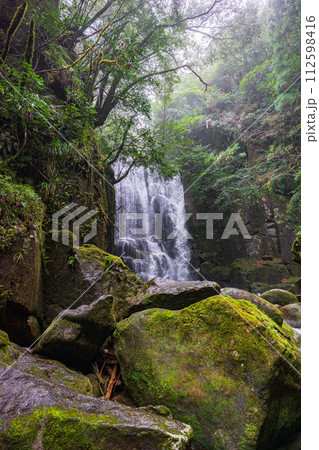 早春の桑の木の滝 112598416