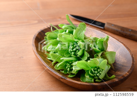 早春の食材 ふきのとう 早春の食材 ふきのとう 112598559