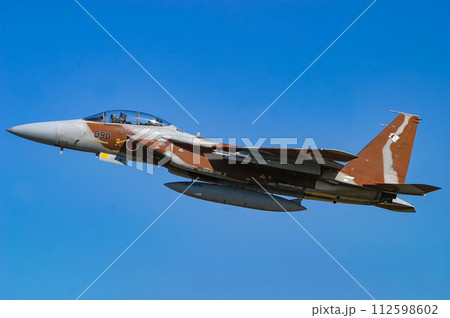 秘奥する航空自衛隊 F-15DJ 112598602
