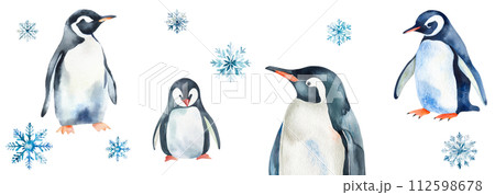 水彩で描いたペンギンと雪の結晶のイラスト 112598678