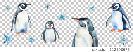 水彩で描いたペンギンと雪の結晶のイラスト 112598678